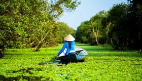 Dive into the biodiverse charm of An Giang Travel