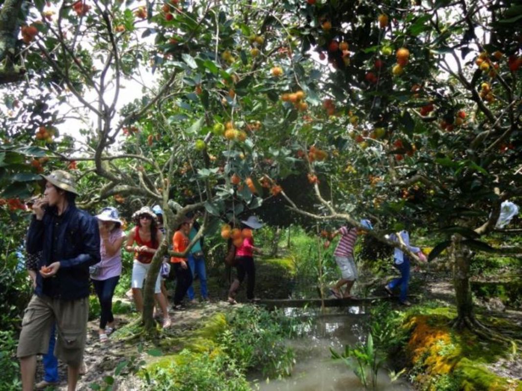 Dive into the verdant charm of Ben Tre Travel