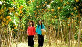 Start your Tra Vinh Travel with serene vistas