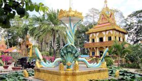 Dive into the serene charm of Ca Mau Travel