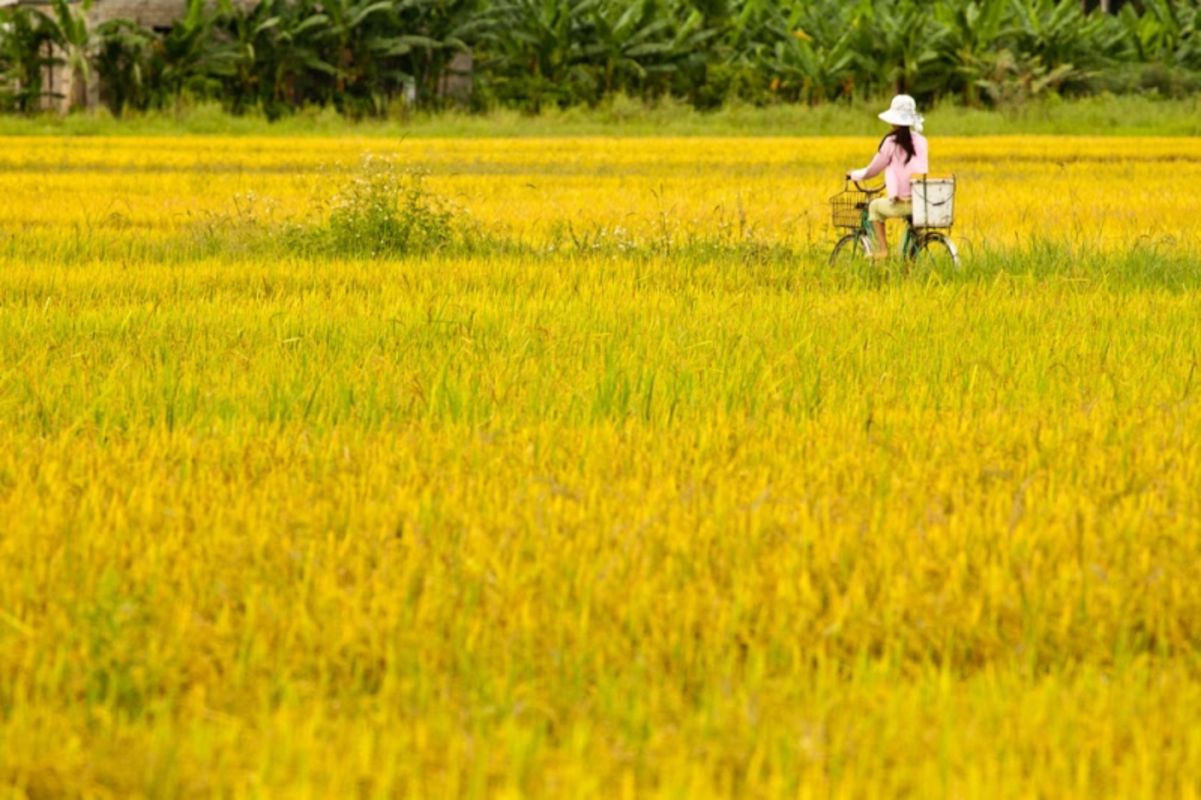 Experience Thai Binh Tours with sustainable adventures