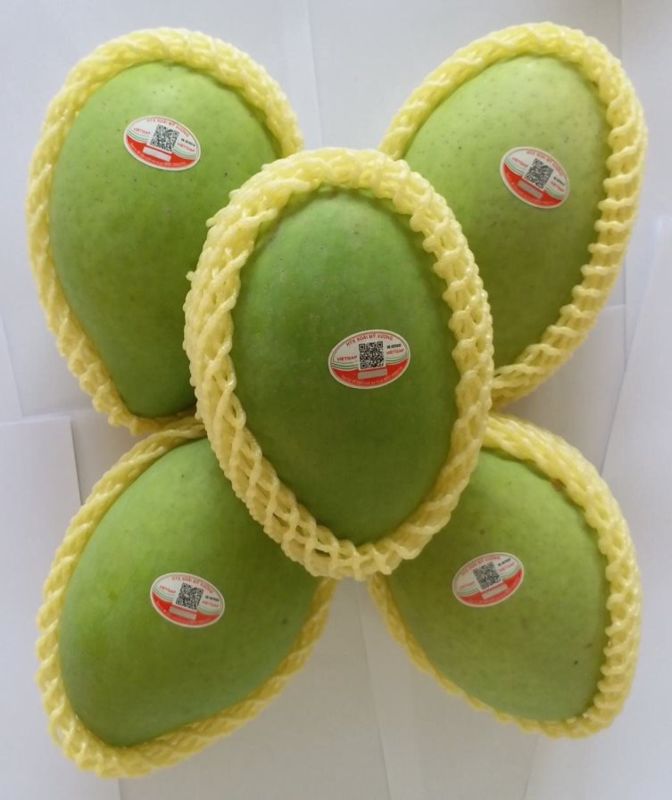 Mango in Cao Lanh