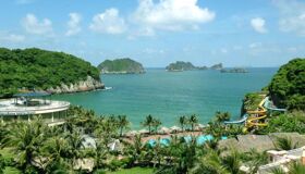 Photograph the rare wildlife of Cat Ba’s conservation efforts