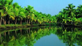 Start your Vinh Long Travel with scenic vibes