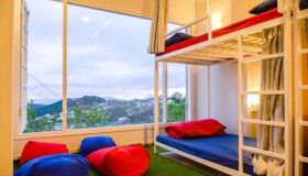 Dive into the trendy vibe of Da Lat Travel