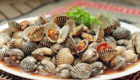 Capture the savory essence of Dak Lak’s culinary gem
