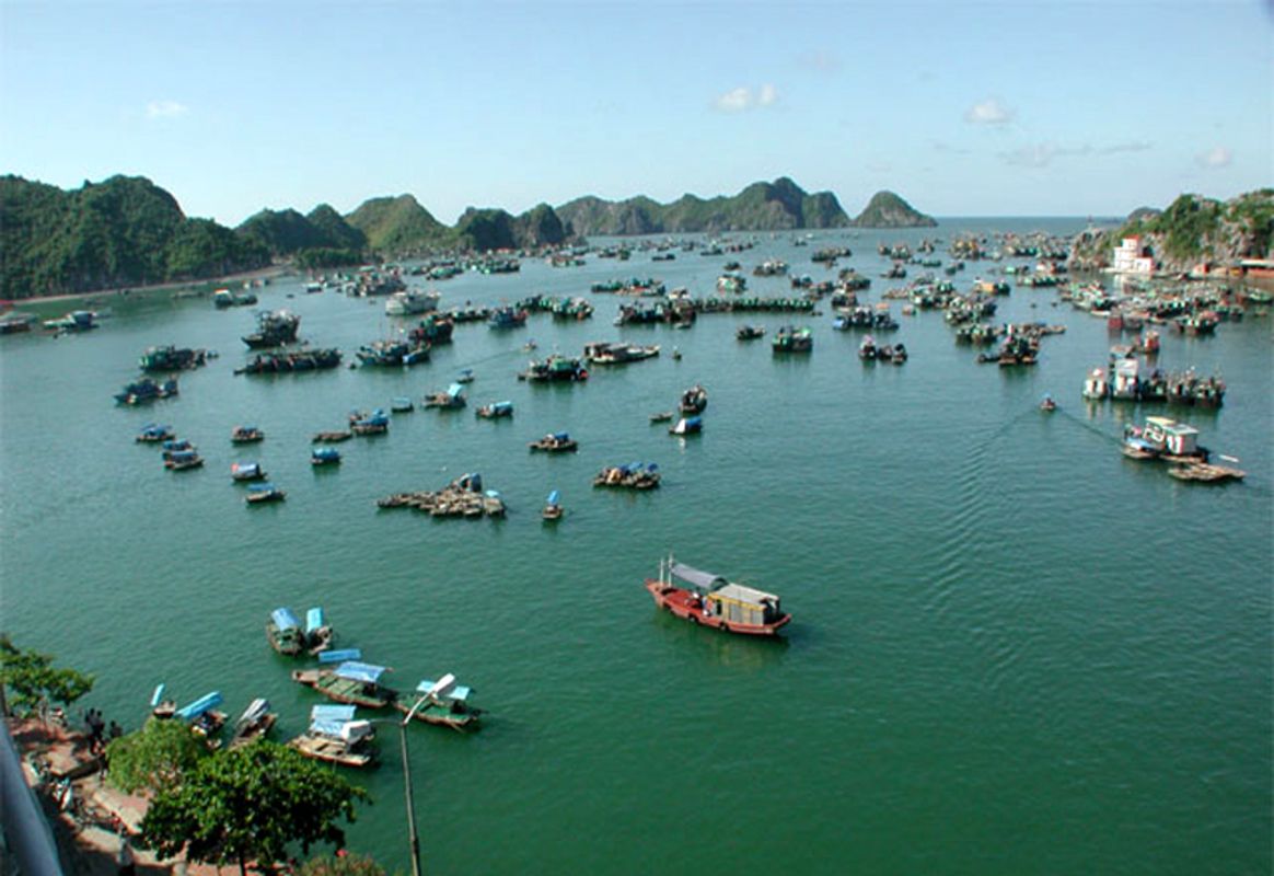 Start your Cat Ba Travel with serene natural beauty