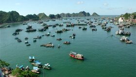 Start your Cat Ba Travel with serene natural beauty