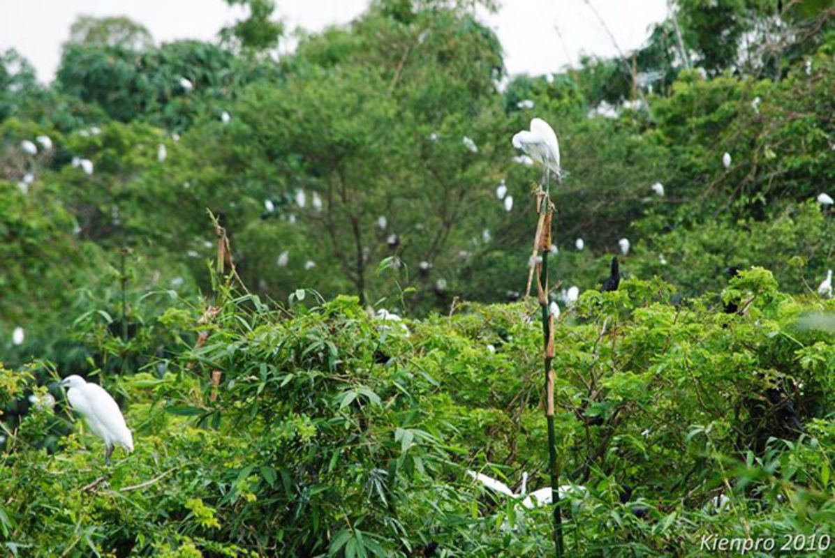 Start your Soc Trang Travel with tranquil vistas