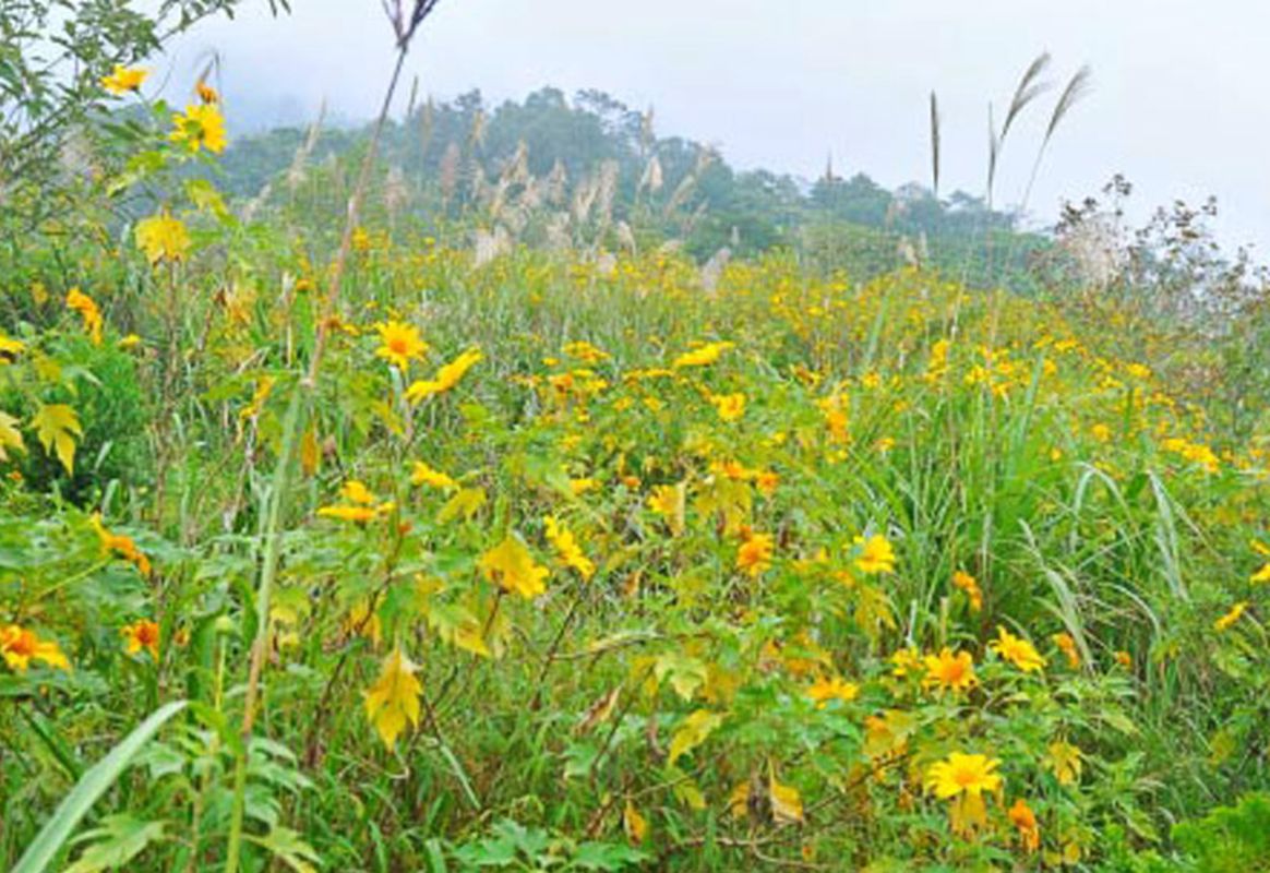 Photograph the radiant allure of Hanoi’s nature
