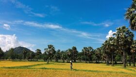 Dive into the vibrant charm of An Giang Travel