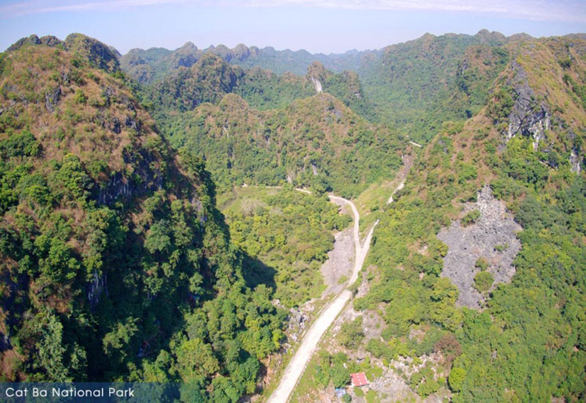 Where is Monkey Island located?