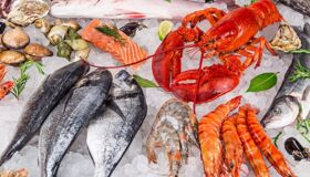 Dive into the unique flavors of Con Dao Travel