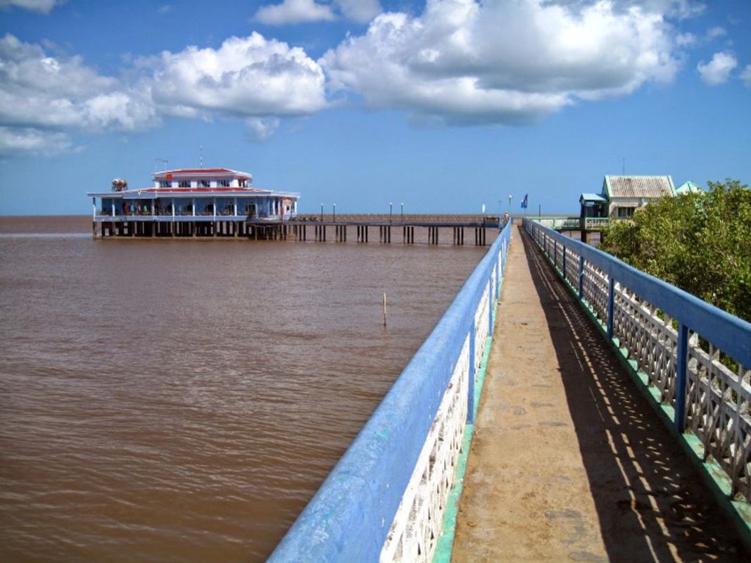 Capture the vibrant essence of Ca Mau’s eco-gem