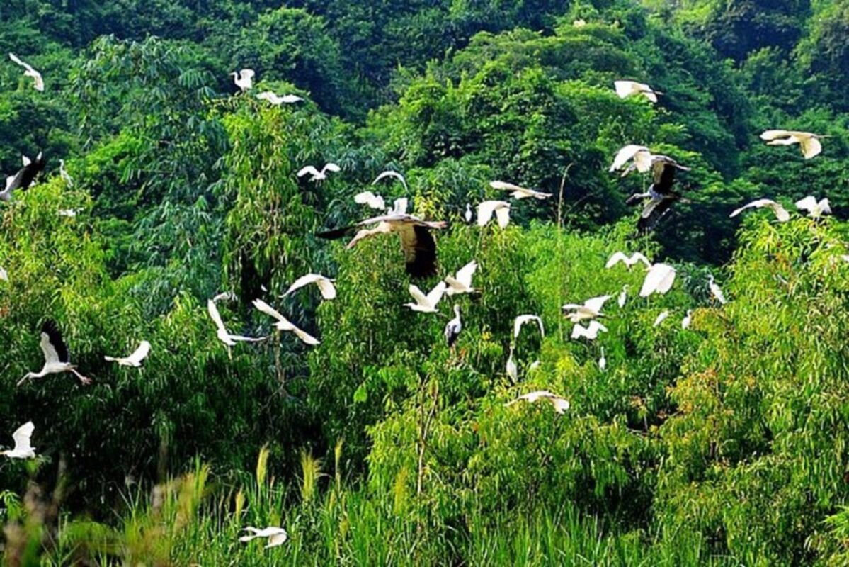 Experience Ca Mau Tours with sustainable adventures