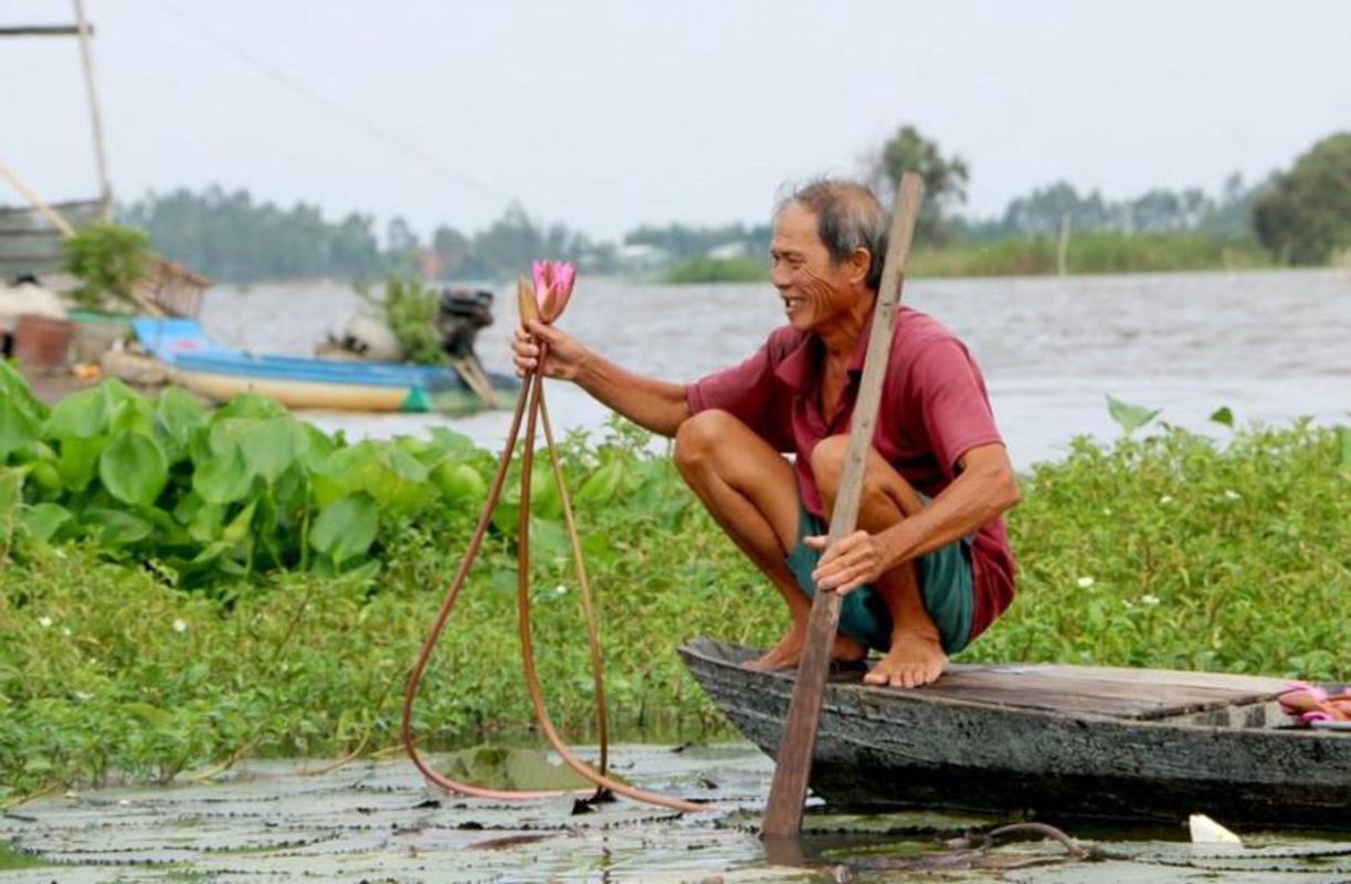 Start your Dong Thap Travel with tranquil vistas