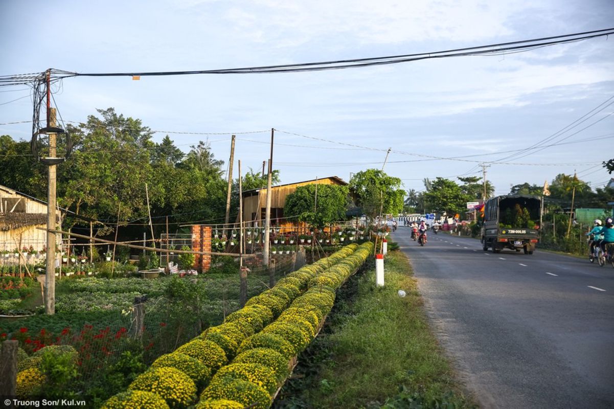 Start your Vinh Long Travel with floral tranquility