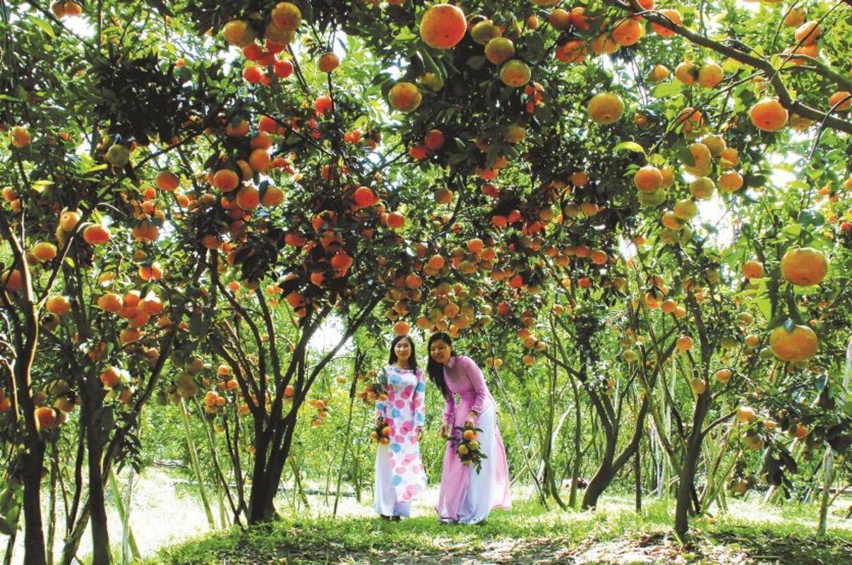 Photograph the verdant allure of Tien Giang’s tropics