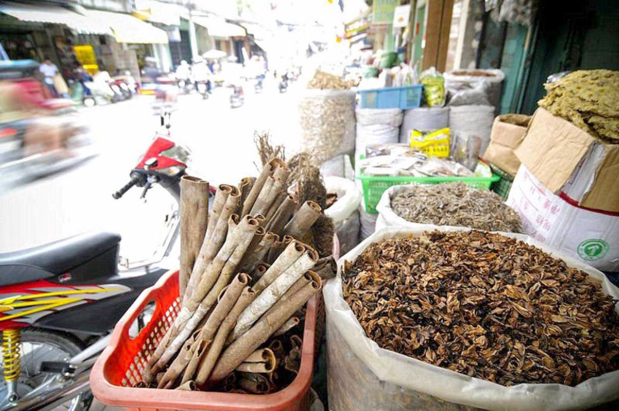 Experience Ho Chi Minh City Tours with sustainable adventures