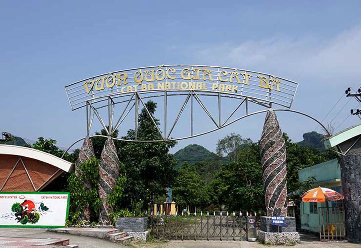 Photograph the cultural allure of Cat Ba Island Travel’s heritage