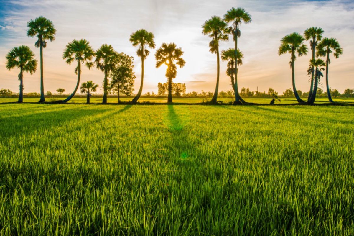 How is The greatness of Nature in An Giang Province?