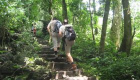 Dive into the natural charm of Ninh Binh Travel