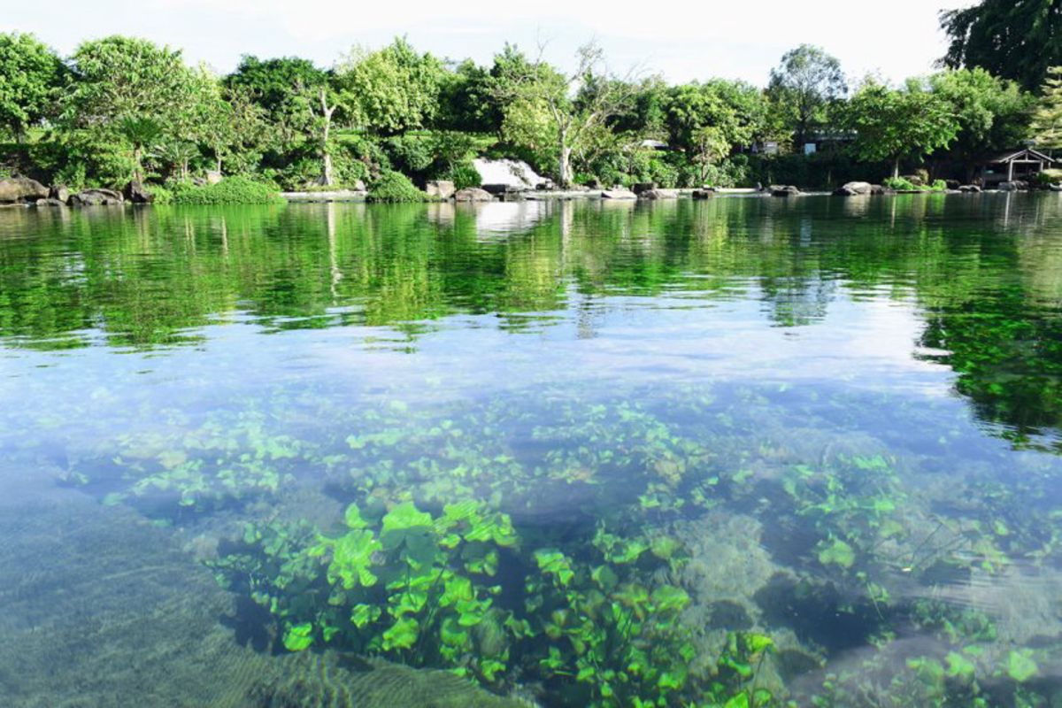 Savor Dong Nai’s natural park on a scenic tour”