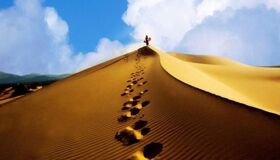 Dive into the adventurous charm of Phong Nha Travel
