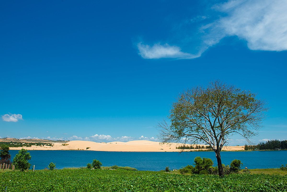 Bau Trang (White Sand Dune): Photograph the serene allure of Phan Thiet’s landscapes