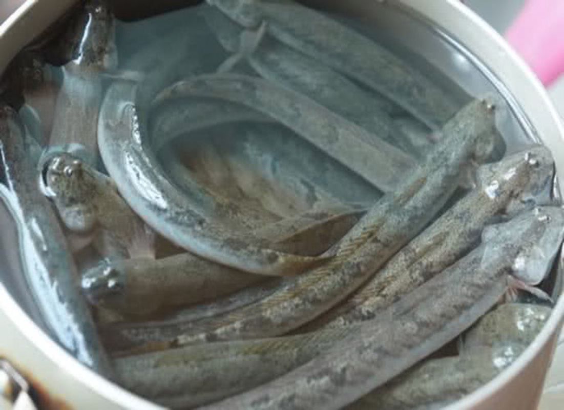 Learn Ca Mau’s heritage with expert insights