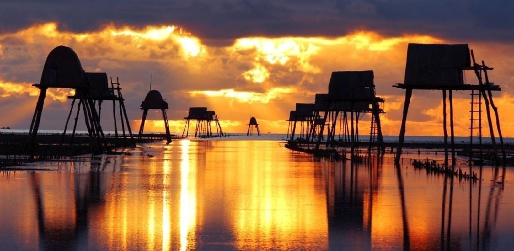Dive into the serene charm of Thai Binh Travel