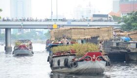 Experience Dong Thap Tours with sustainable adventures