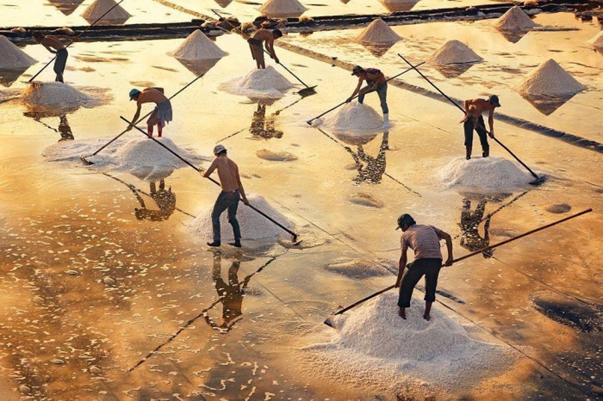 Start your Ca Mau Travel with serene vistas