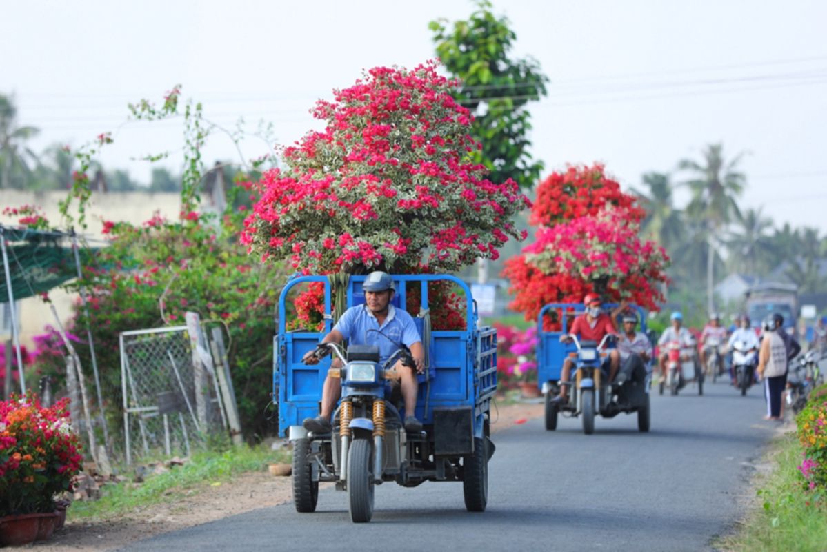 Experience Ben Tre Tours with sustainable adventures