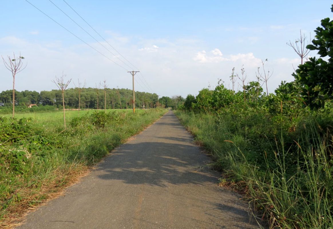 Experience Hanoi Tours with sustainable adventures