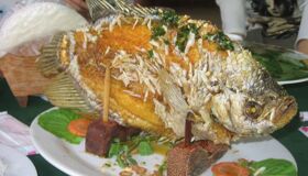 Capture the crispy essence of Vinh Long’s culinary gem