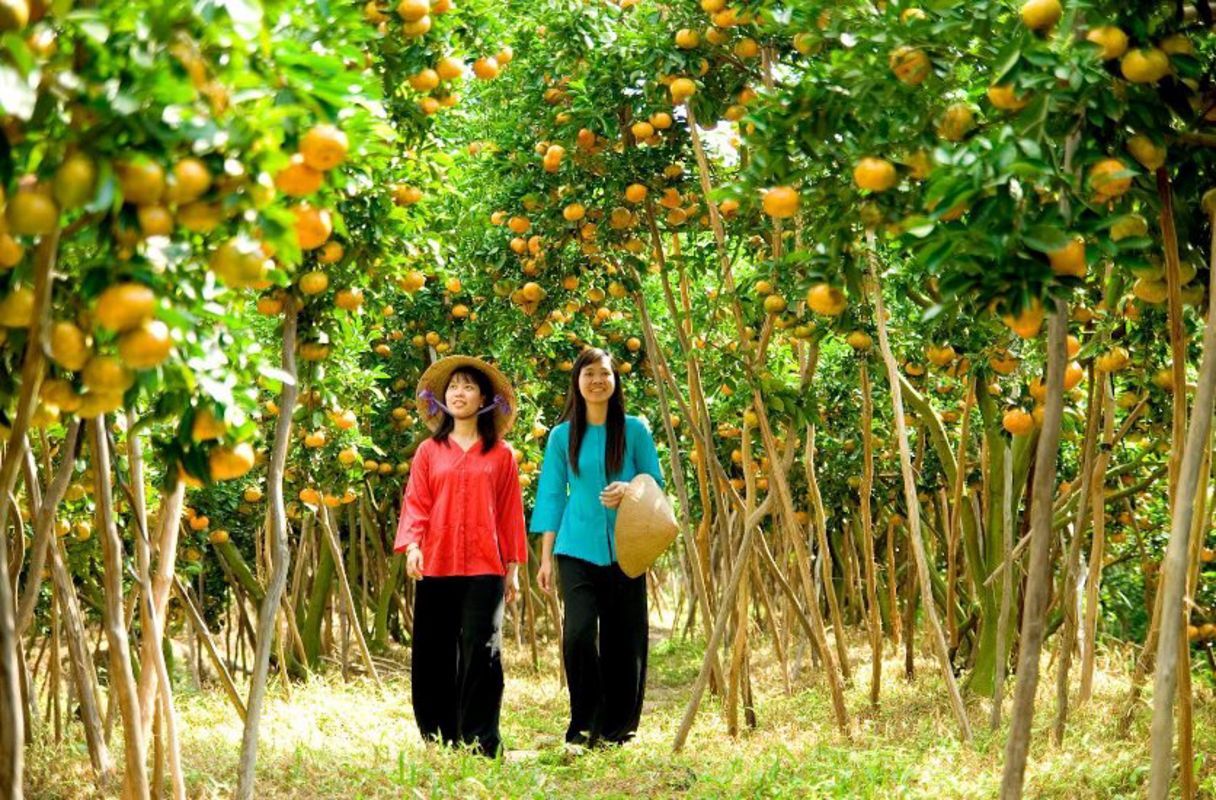 Embrace the vibrant spirit of Tra Vinh Travel adventures