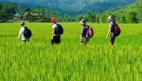 Dive into the cultural charm of Phu Tho Travel