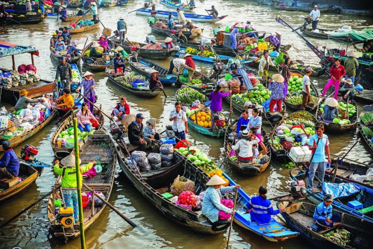 Experience Ca Mau Tours with sustainable adventures