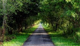 Dive into the profound charm of Hau Giang Travel