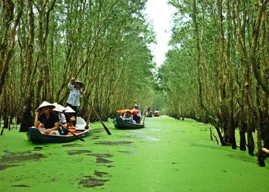 Learn Dong Thap’s ecological heritage with expert insights