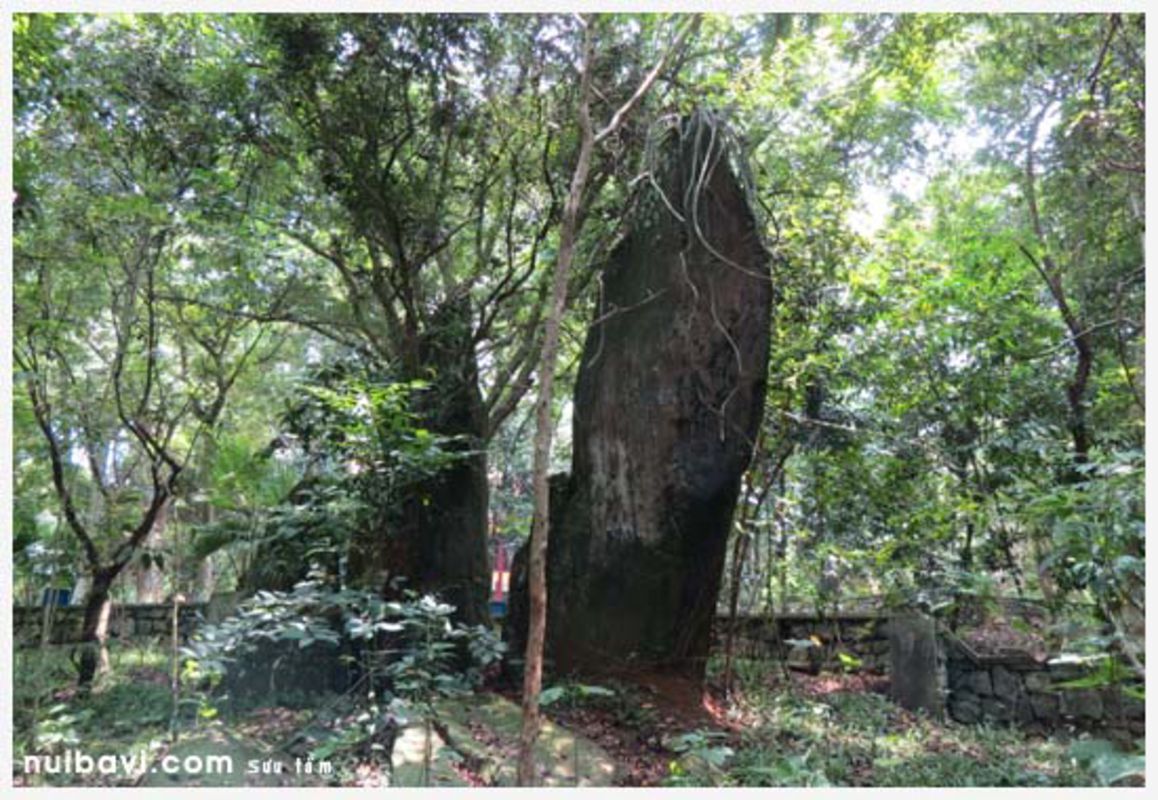 K9 - Da Chong historical relic site