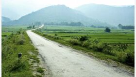Dive into the botanical charm of Hanoi Travel