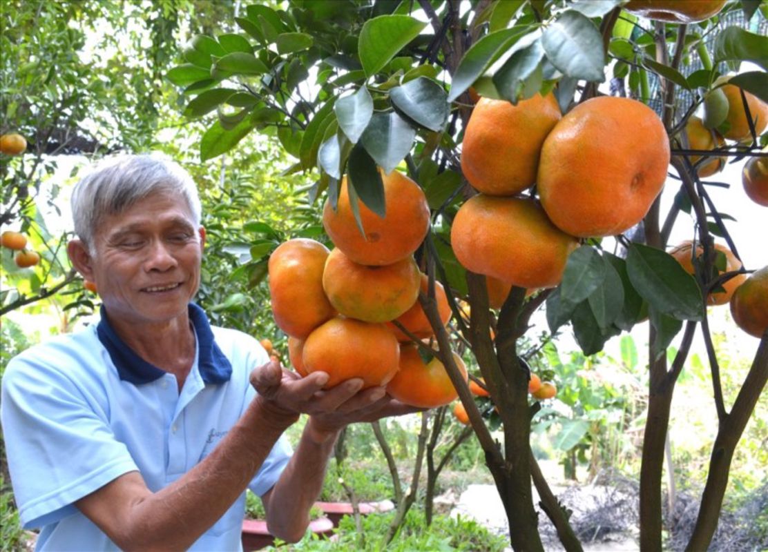 Experience Dong Thap Tours with sustainable adventures