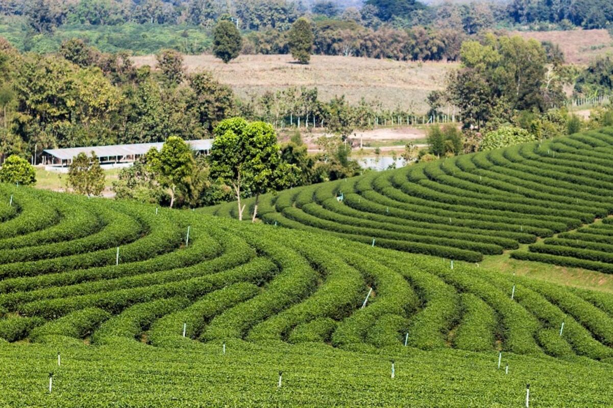 Experience Nghe An Tours with sustainable adventures
