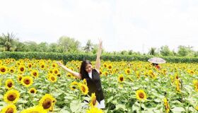 Dive into the adventurous charm of Tien Giang Travel