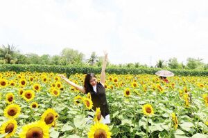 Climate of My Tho, Tien Giang: Best Times to Visit, Tours & Costs