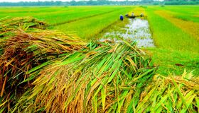 Experience Thai Binh Tours with sustainable adventures