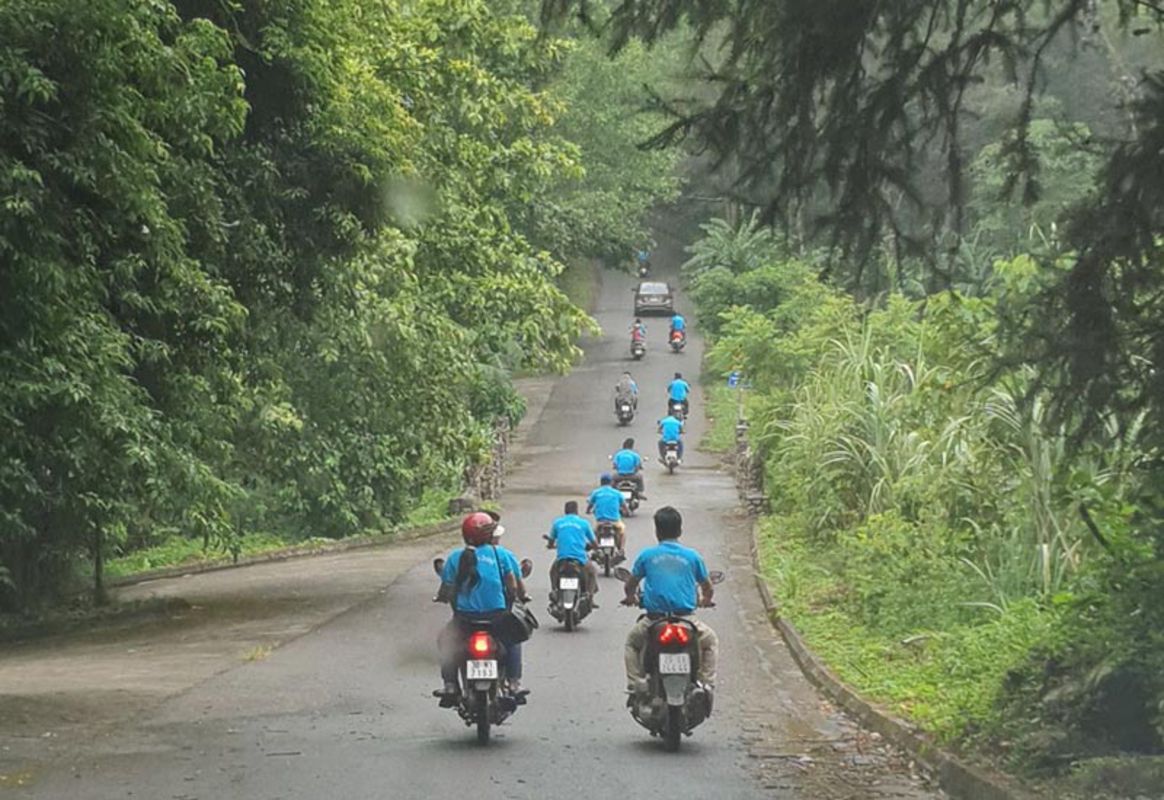 Trekking Bach Xanh trees in Ba Vi National Park 2025