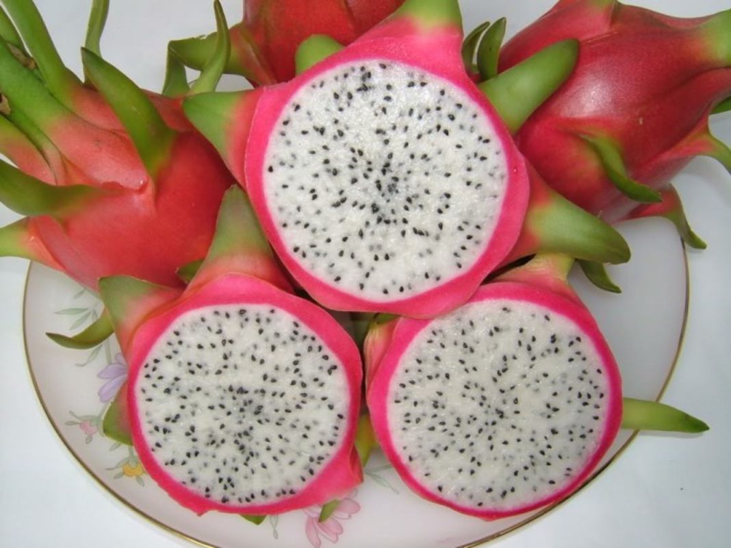 Capture the juicy essence of Tien Giang’s fruit gem